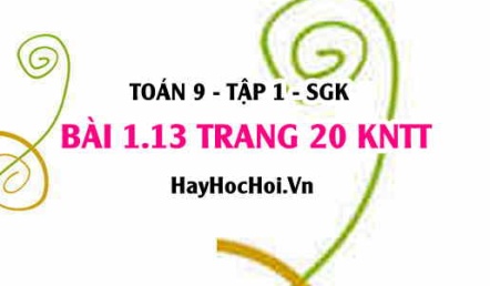 Bài 1.13 trang 20 Toán 9 tập 1 Kết nối tri thức SGK